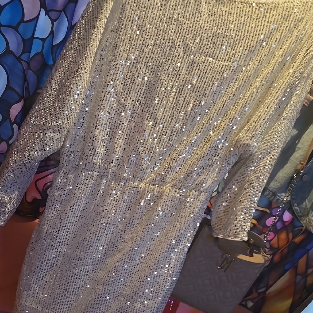 Sequin Silver Dress